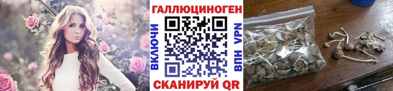 купить наркоту  Суздаль  Галлюциногенные грибы MAGIC MUSHROOMS 